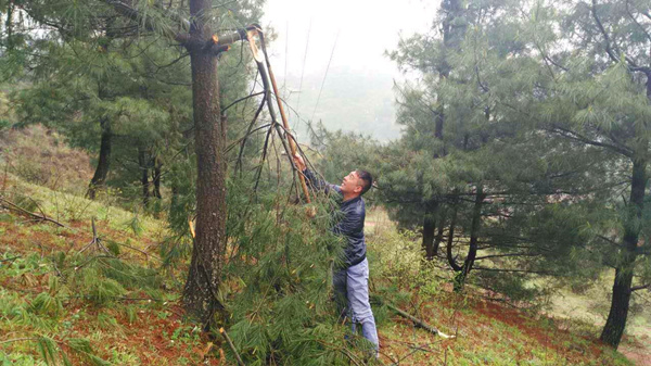 貴州開(kāi)元員工巡查高壓線(xiàn)路紀實(shí)