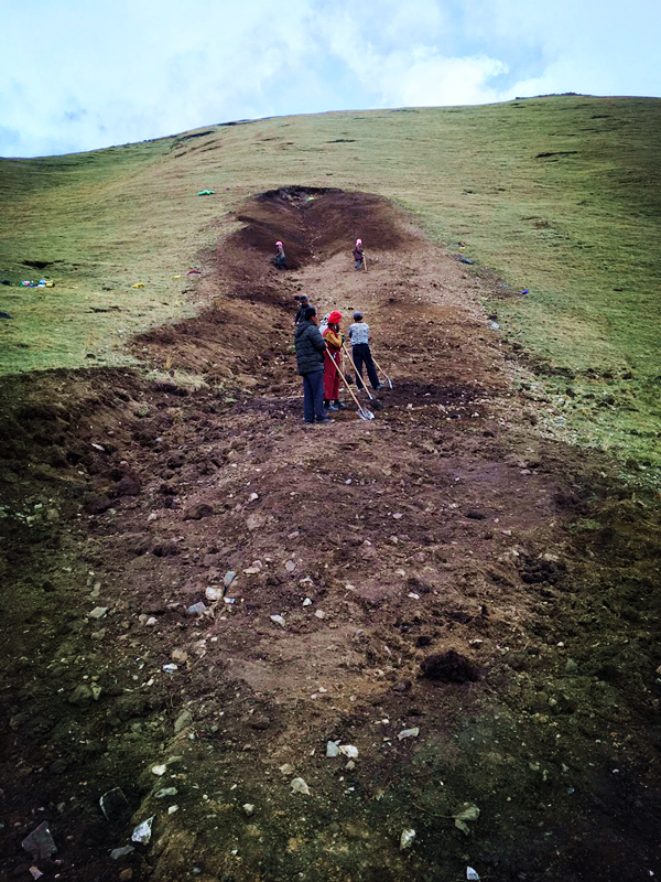 興海銅鑫綠色礦山植被恢復工作穩步推進(jìn)